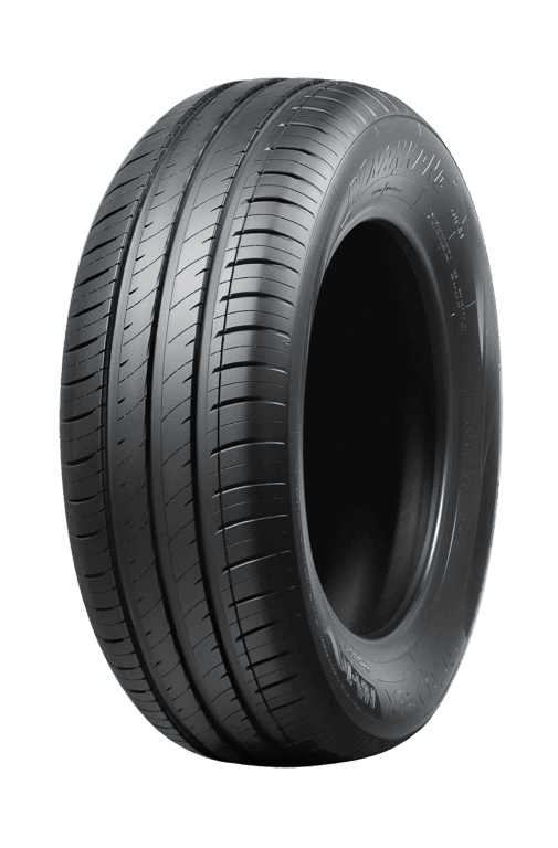 NANKANG ECONEX NA-1 205/55-16 XL